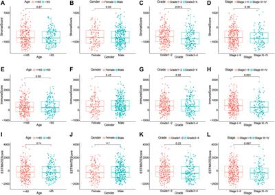 Identification of Novel Tumor Microenvironment-Related Long Noncoding RNAs to Determine the Prognosis and Response to Immunotherapy of Hepatocellular Carcinoma Patients